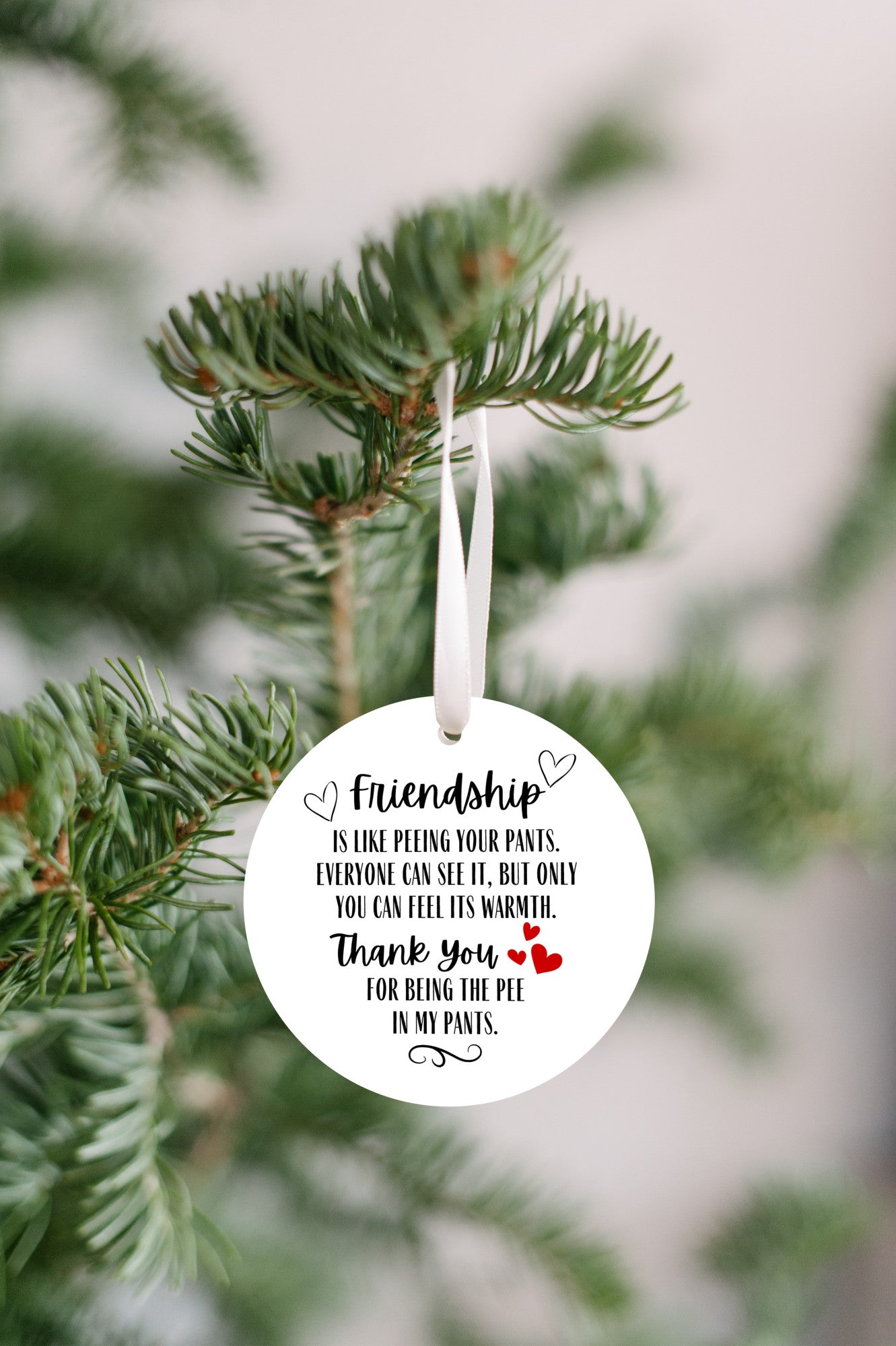 Funny Friendship Ornament