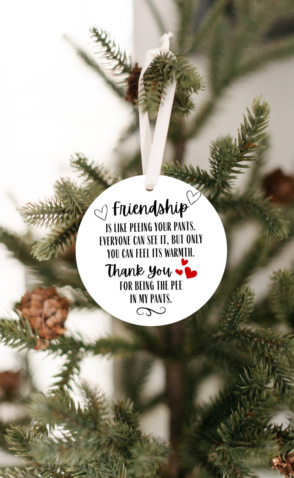 Funny Friendship Ornament