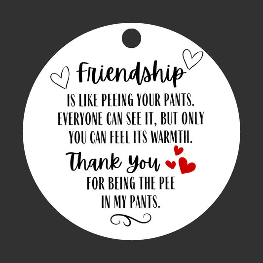 Funny Friendship Ornament